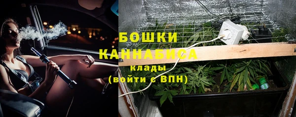 ПСИЛОЦИБИНОВЫЕ ГРИБЫ Алзамай