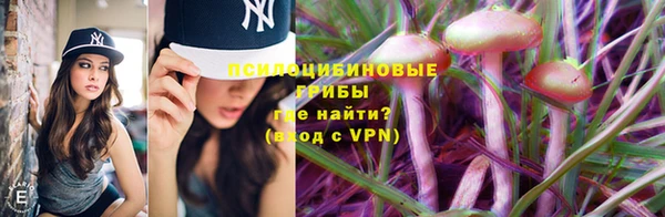 ПСИЛОЦИБИНОВЫЕ ГРИБЫ Алзамай