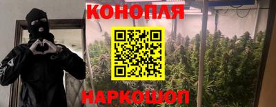 первитин Новодвинск