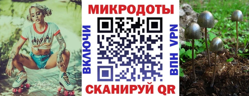 darknet какой сайт  Ревда  Псилоцибиновые грибы мухоморы 